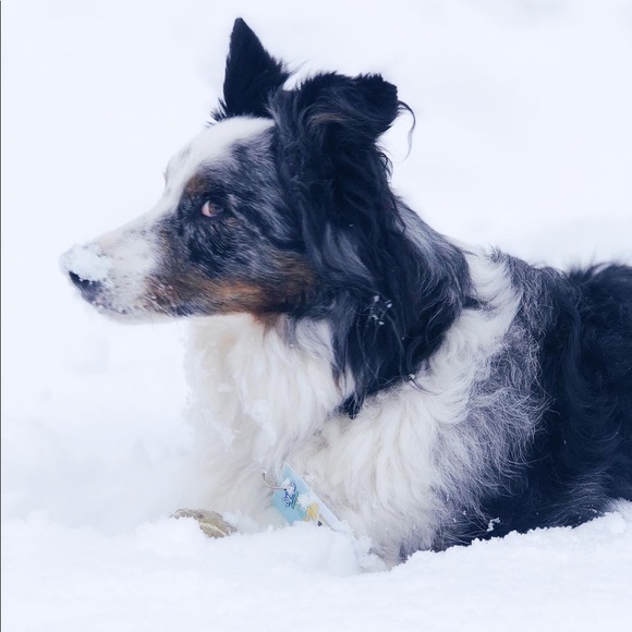 Meet your Posher, Tarynn - Picture 4 of 8